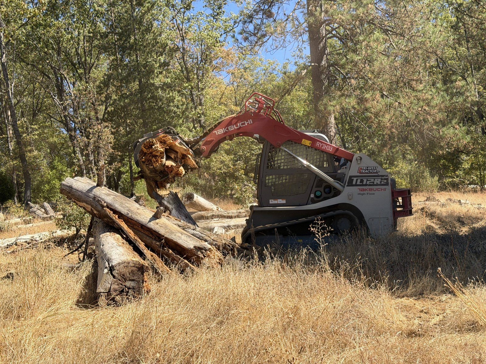 High Sierras Forestry land management work